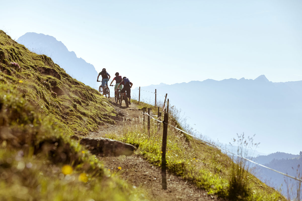: Mountainbiker und Genussradler finden hier den richtigen Weg © Klemens König