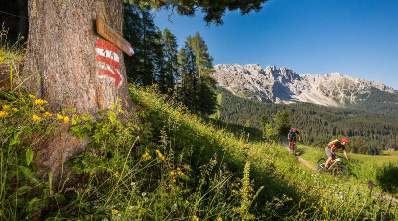 Im Eggental finden Mountainbiker Touren in allen Schwierigkeitsgraden © Eggental Tourismus, Jens Staudt