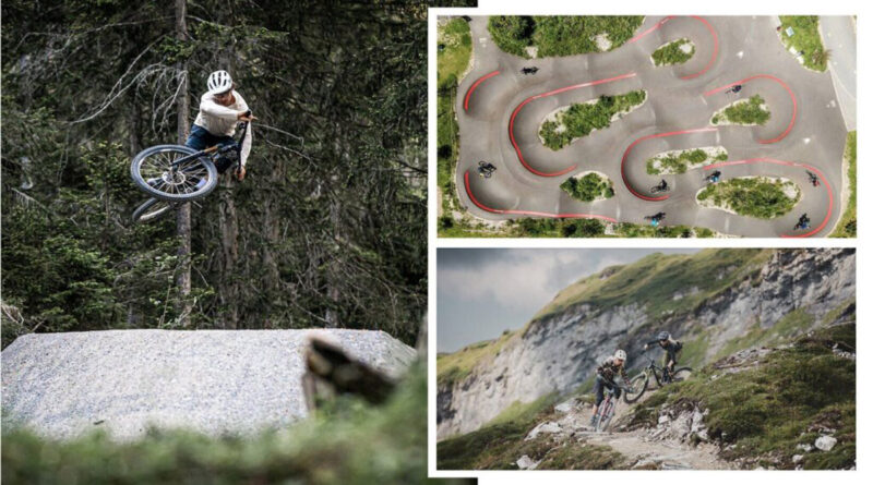 In Flims Laax Falera kommen alle Bike-Liebhaber voll auf ihre Kosten. © Philipp Ruggli/Balz Weber/Maria Knoll