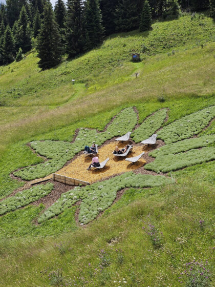 Sennhütte - Edelweiss © Roland Schopper