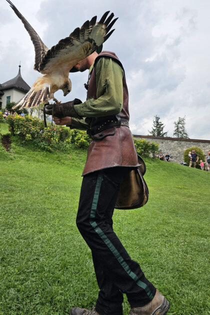 Burg Hohenwerfen GreifvogelShow © Roland Schopper