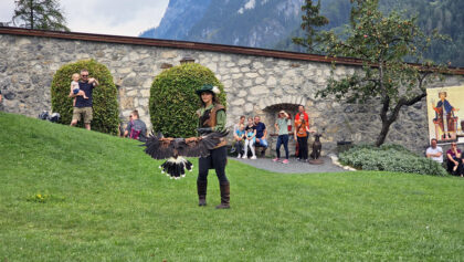 Burg Hohenwerfen GreifvogelShow © Roland Schopper