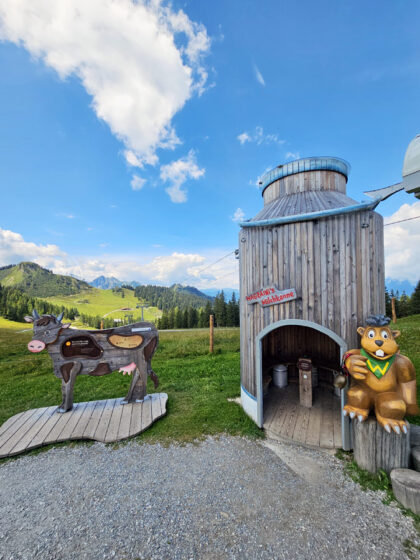 Natur Bergerlebniswelt Grafenberg © Roland Schopper