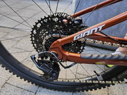 Giant Faith Mini-Mullet Bike © Roland Schopper