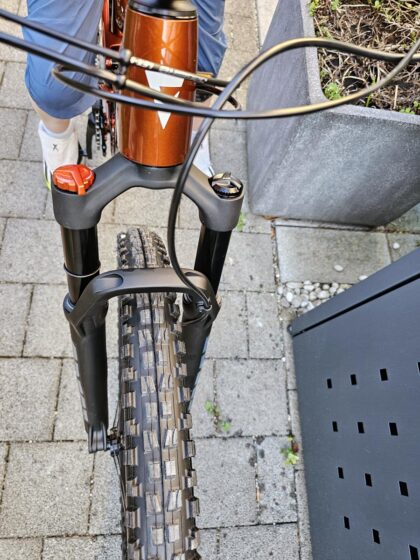 Giant Faith Mini-Mullet Bike © Roland Schopper