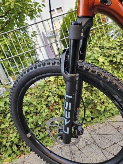 Giant Faith Mini-Mullet Bike © Roland Schopper