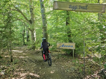 Heummödern Trail mit Faith Mini-Mullet Bike © Roland Schopper