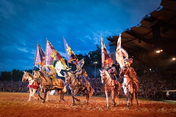  Kaltenberger Ritterturnier 2025 – Das Familienabenteuer des Sommers Illustration 