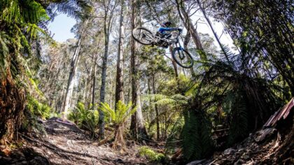 Statera Copyright Santa Cruz bzw. Mondraker