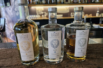 Hotel Der Löwe in Leogang © Roland Schopper