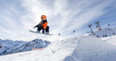 crystal family david lis