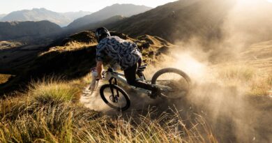 7OX 2.0 Pro ltd ION Griffe und 611 ergowave infinergy active 2.1 Ltd ION