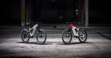 THOK E-BIKES TK02