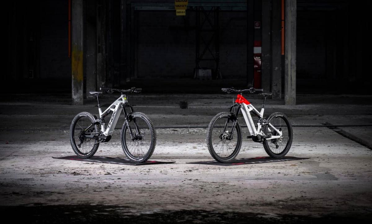 THOK E-BIKES TK02