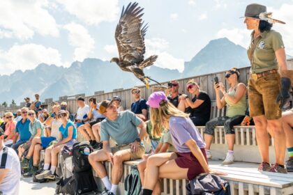 Adler Bühne Greif Vogel Vorführung_Zooom