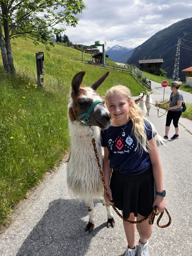 Lamatrekking am Wattenberg @ Roland Schopper