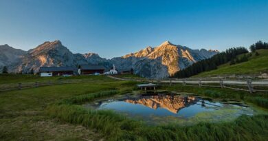 Walderalm Kraftort Gnadenwald Hall Wattens Tourismus tvb