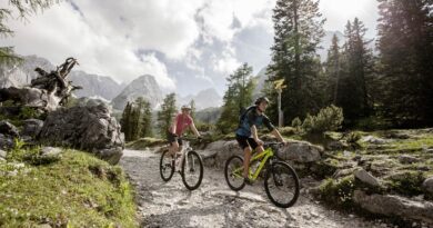 ZABT MTB Abfahrt Ehr © ZABT Joe Hoelzl