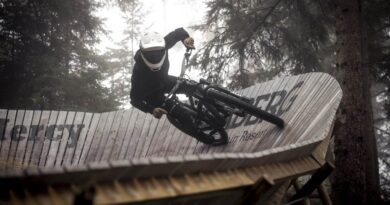 Hestra Ergo Grip Enduro D3O