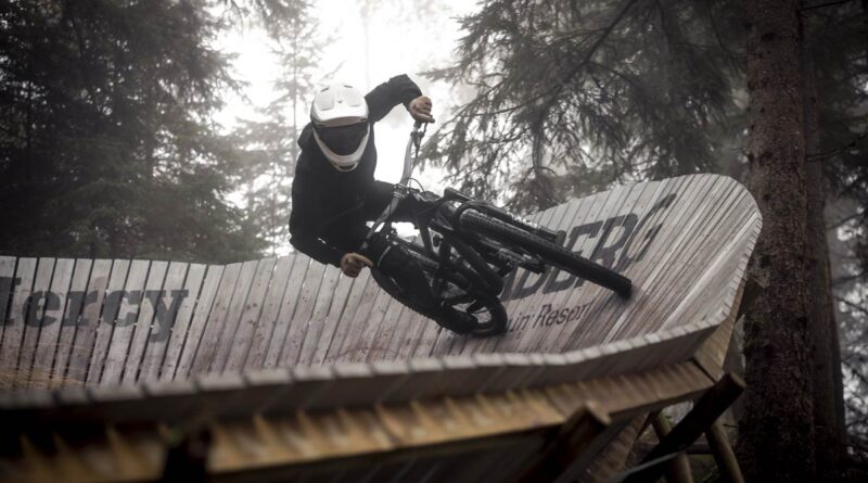 Hestra Ergo Grip Enduro D3O