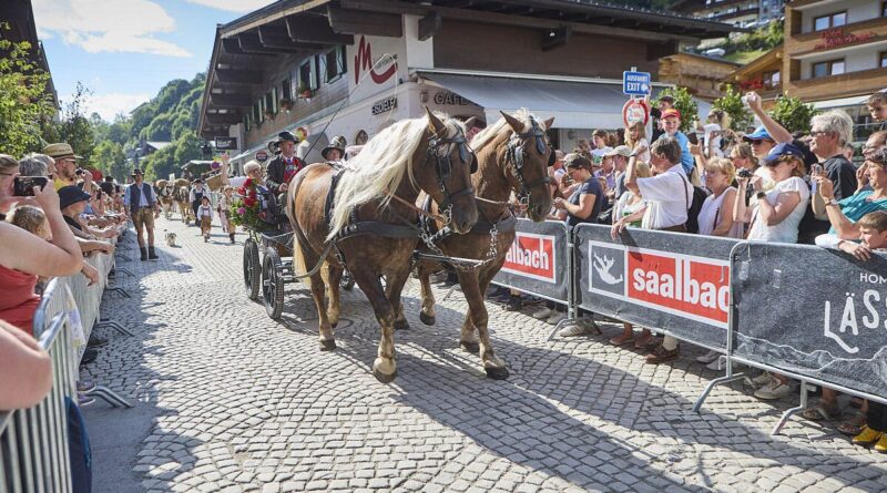 Hinterglemmer Bauernmarkt © TVB Saalbach Hinterglemm