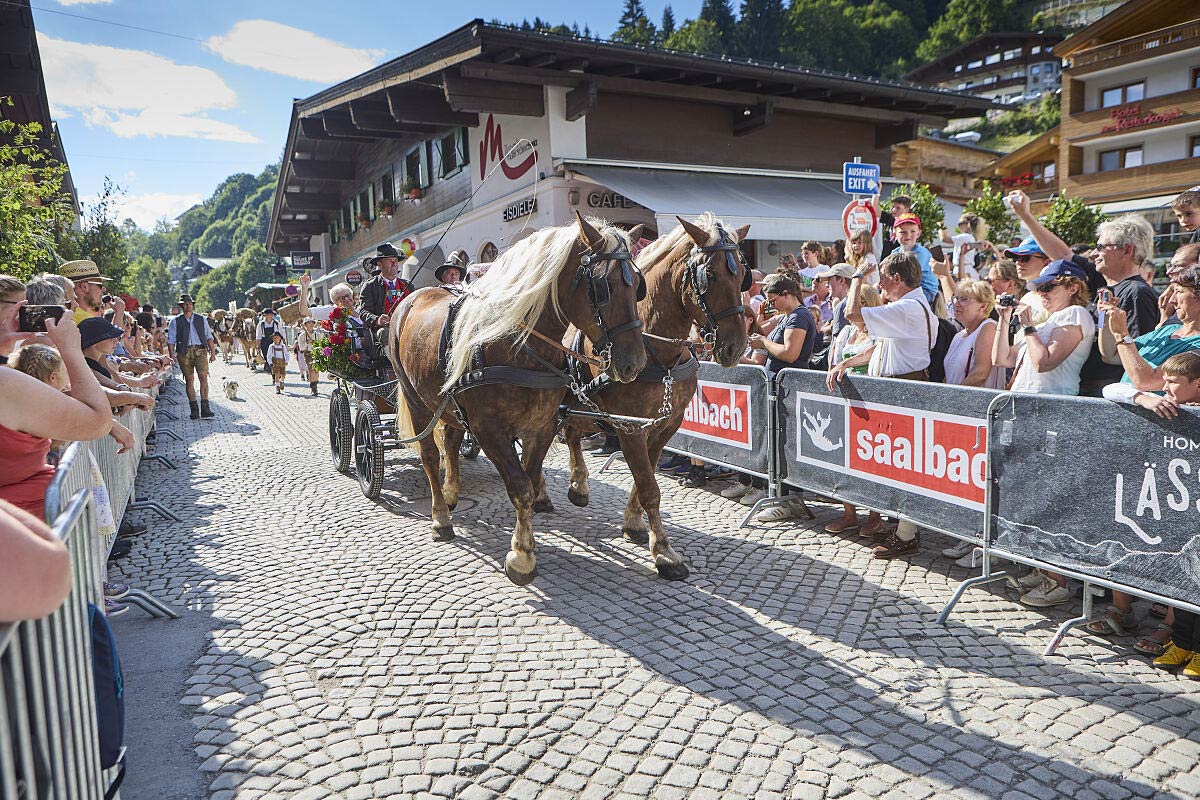 Hinterglemmer Bauernmarkt © TVB Saalbach Hinterglemm